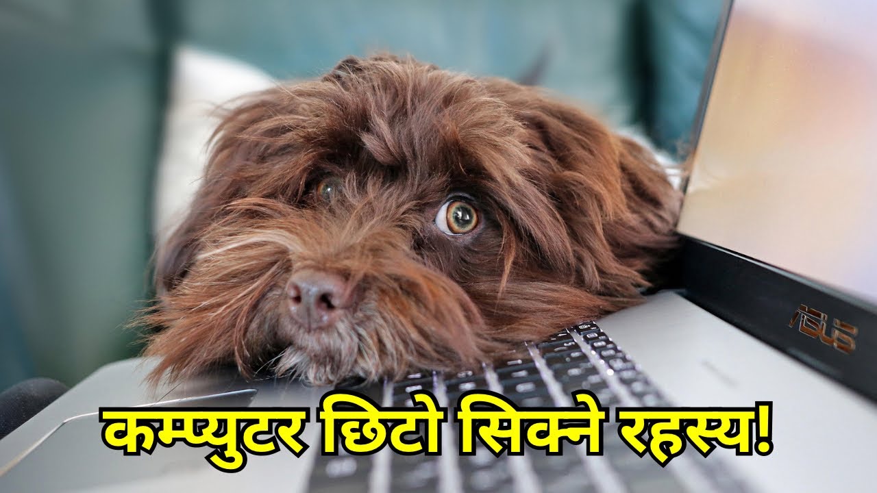 Computer के हो? | What is Computer in Nepali | कम्प्युटरको परिचय | Basic Computer Course