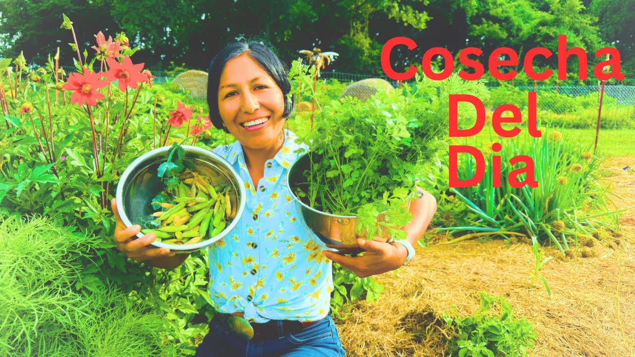 Despues de TRABAJAR en el HUERTO nos VAMOS al PARQUE/ Lucy Rich🇺🇸🇵🇪