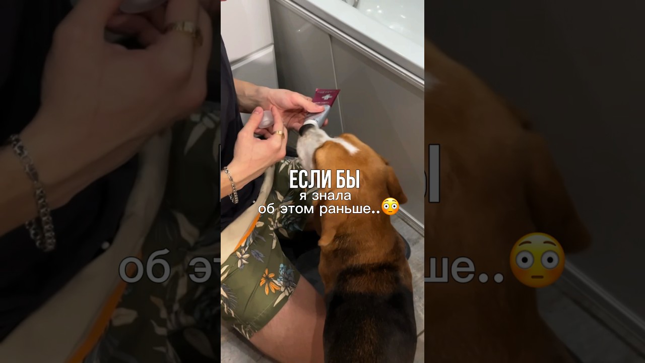 Сэкономила бы себе кучу нервов😱 Арт. на пасту WB: #WW285453 (вводите в поиск с буквами)🫶🏻