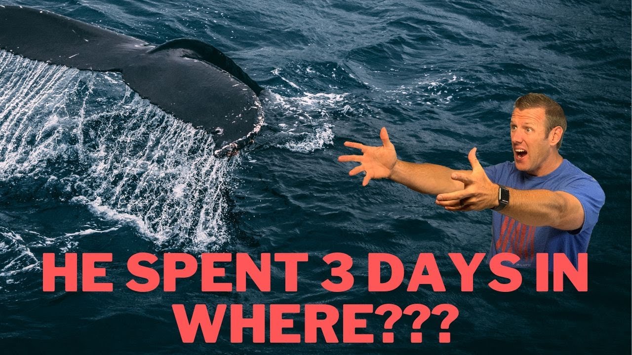 Jonah Chapter 2 | Bible study with me | Jonah in the belly of the great fish