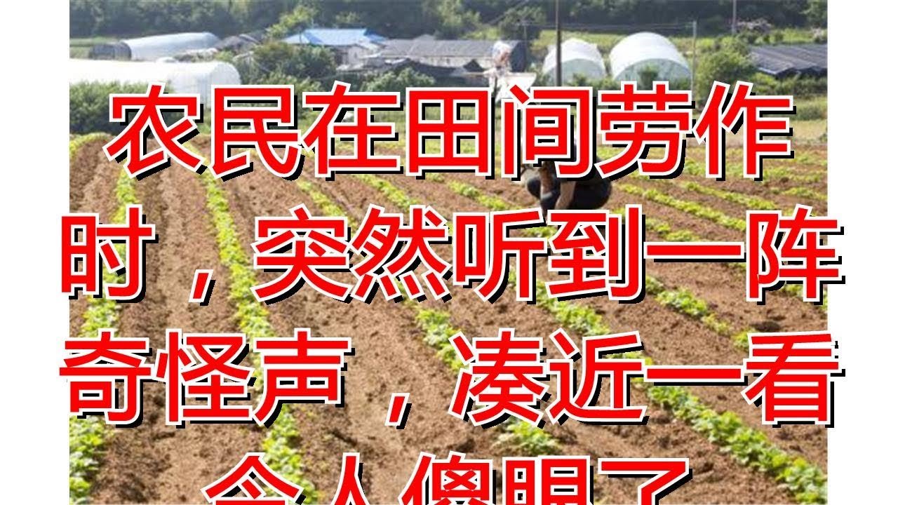 农民在田间劳作时，突然听到一阵奇怪声，凑近一看令人傻眼了