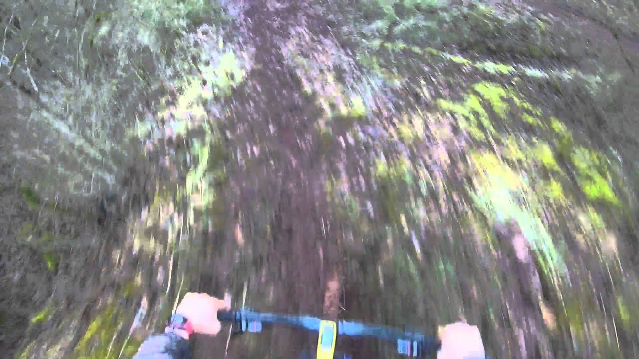 chute VTT (fracture de l'&eacute;paule)