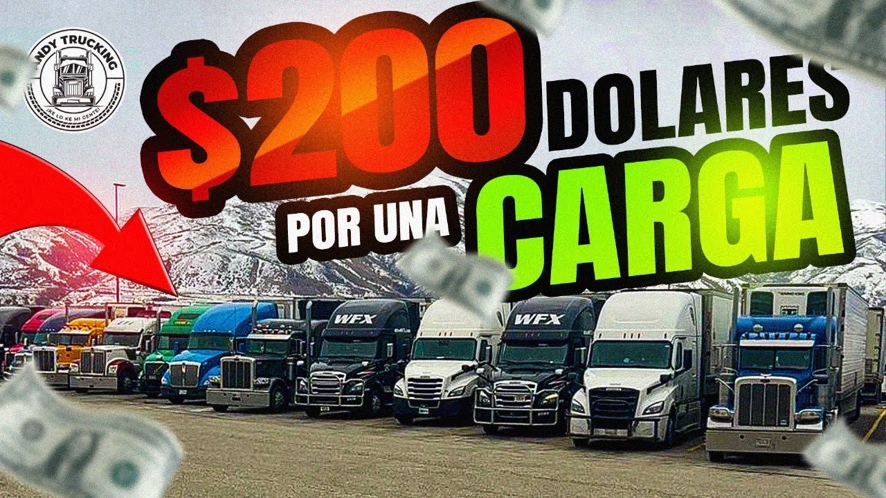 TODO SALIÓ MAL POR 2 PALETAS QUE NO SE PUDO ENTREGAR EN UNA CARGA CON MULTIPLES PARADAS