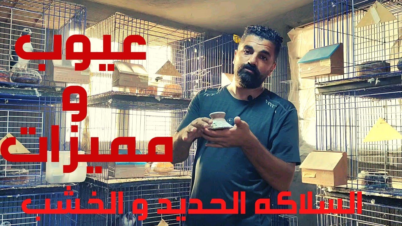 تعالو نشوف الفرق بين السلاكه الحديد و الخشب في تربية الحمام و المقاس المناسب لكل حمام
