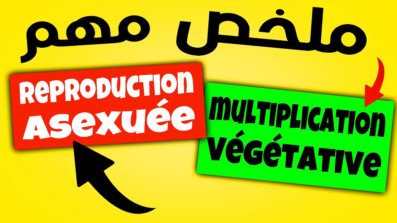 la reproduction asexuée chez les plantes et la multiplication végétative 2ac - ملخص الدرس