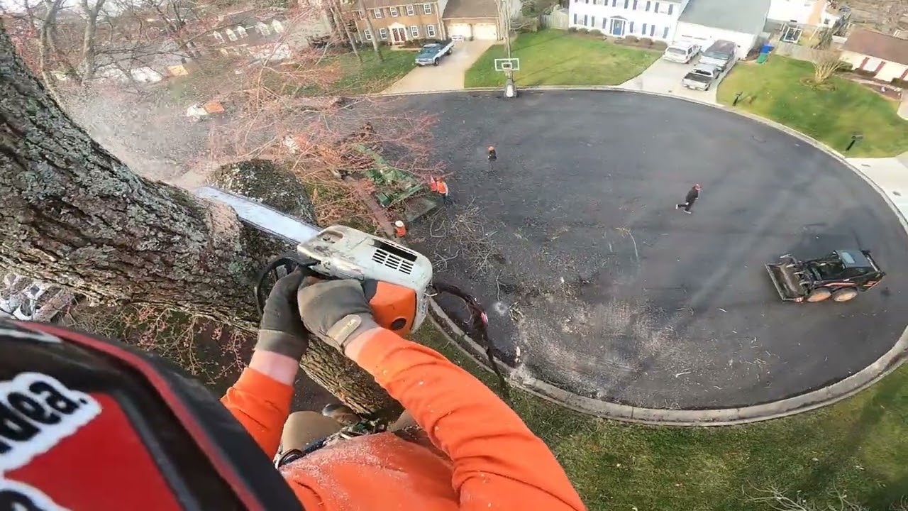 Doing a "2 day job" in less then 5 hours
