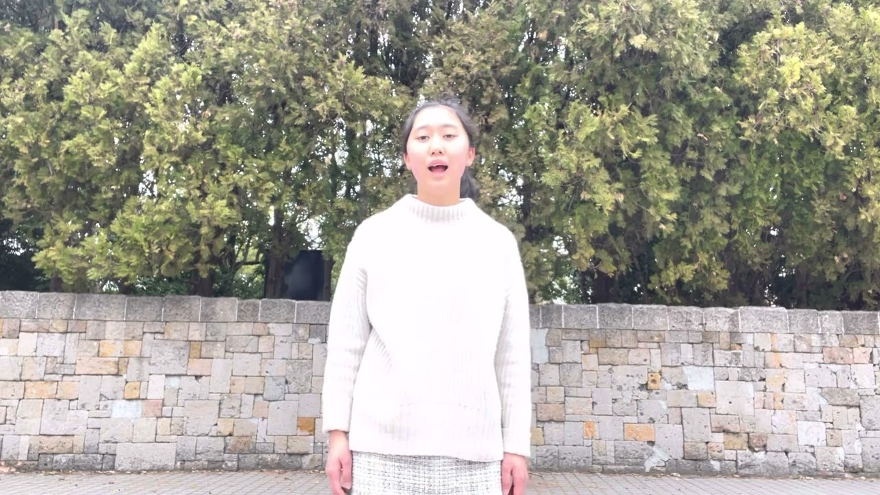 Ой у лузi червона калина                           紅いカリーナは草原に