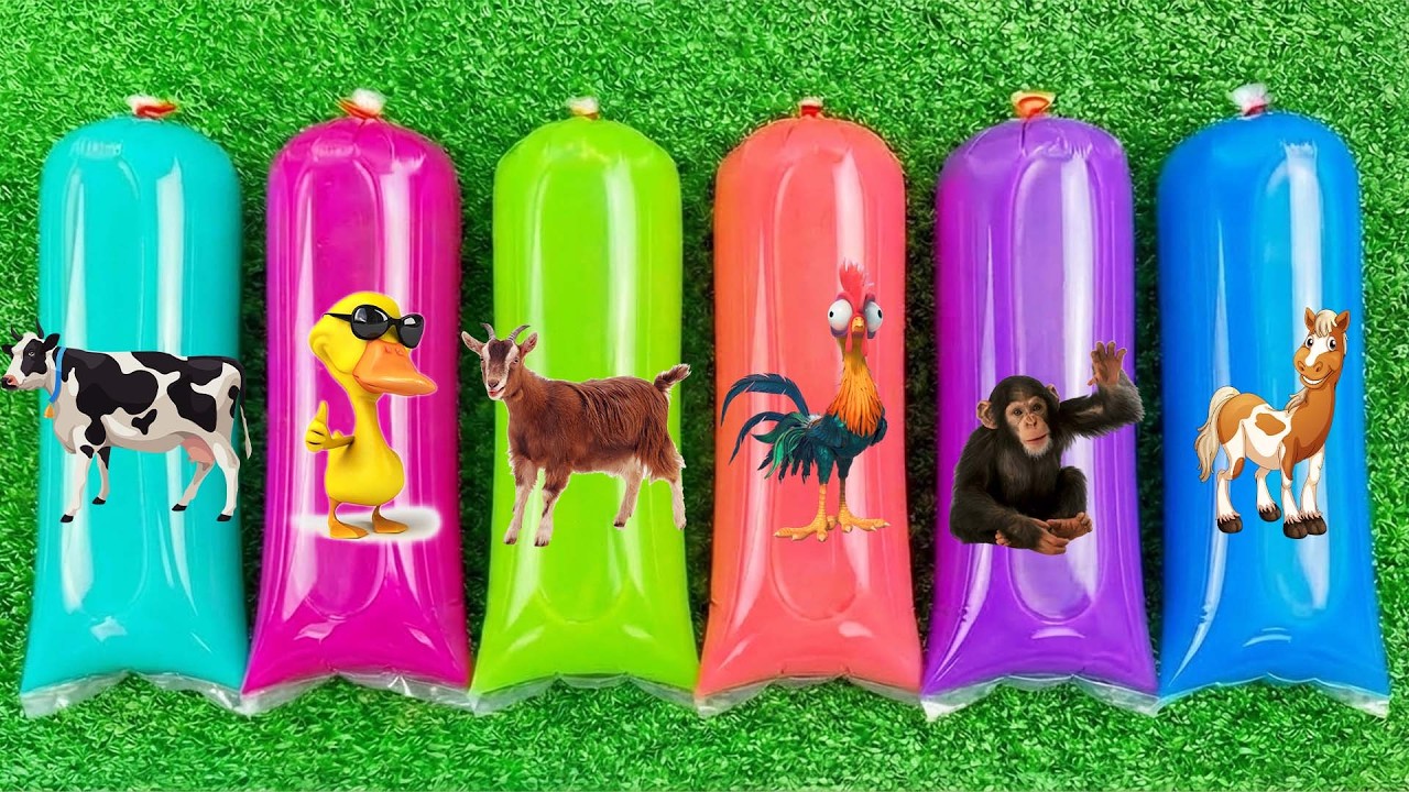 Hewan Sapi, Bebek, Ayam, Kuda, Kambing, singa simpanse