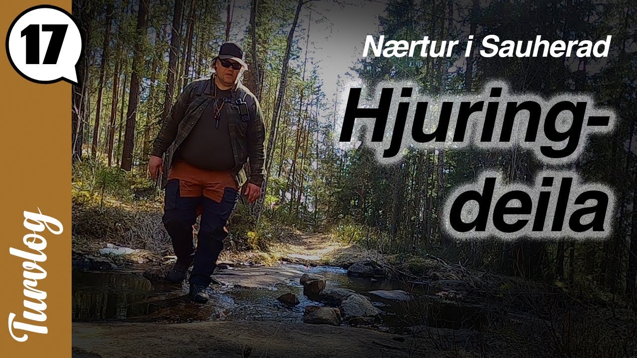 Hjuringdeila - en n&aelig;rtur i Sauherad | Turvlog 17