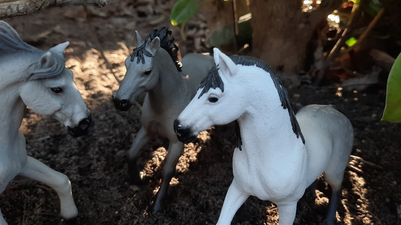 Die graue Herde| Schleich Serie Folge 1❤《NEU》NEUE SERIE!