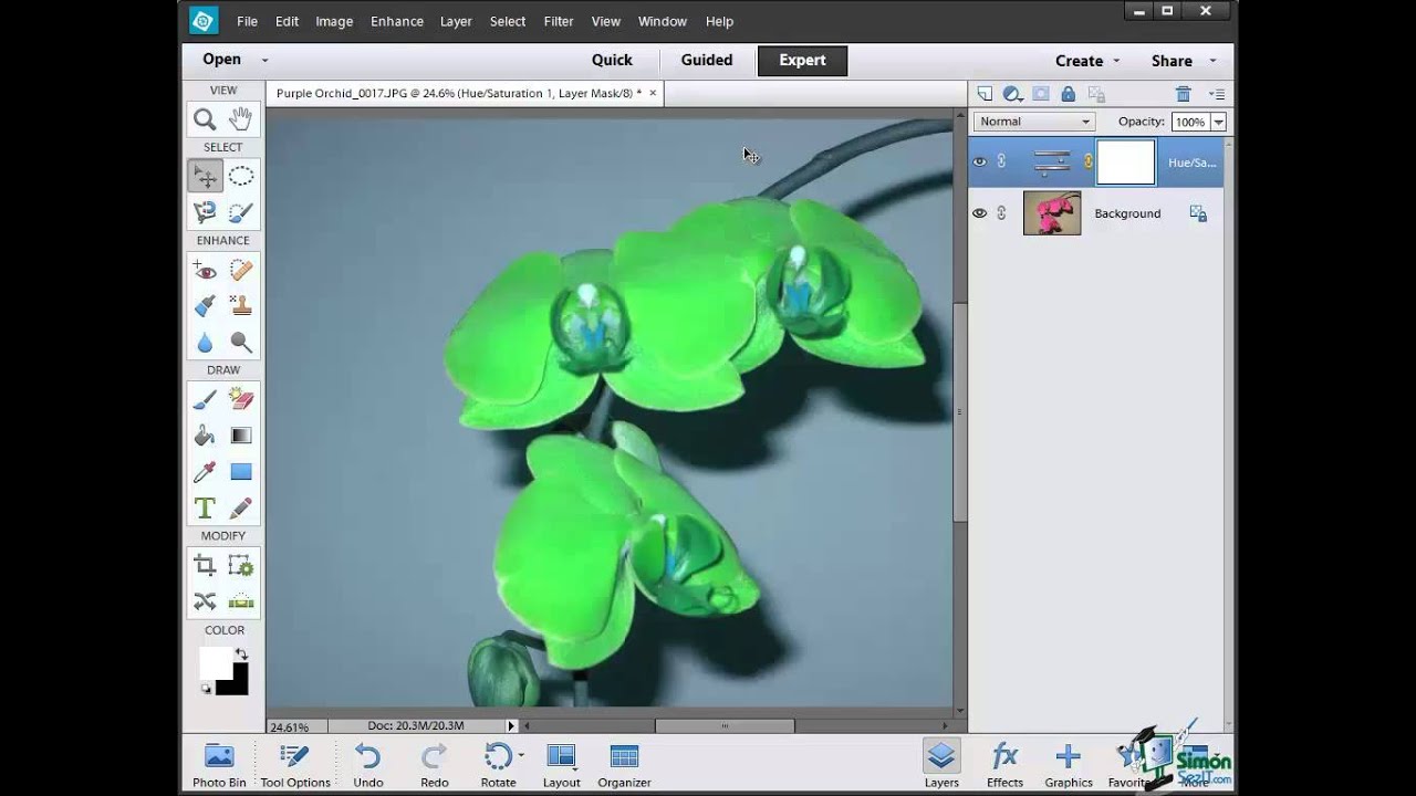 How to Use Layers in Photoshop Elements 12 - Part 1 - Introduction to Layers
