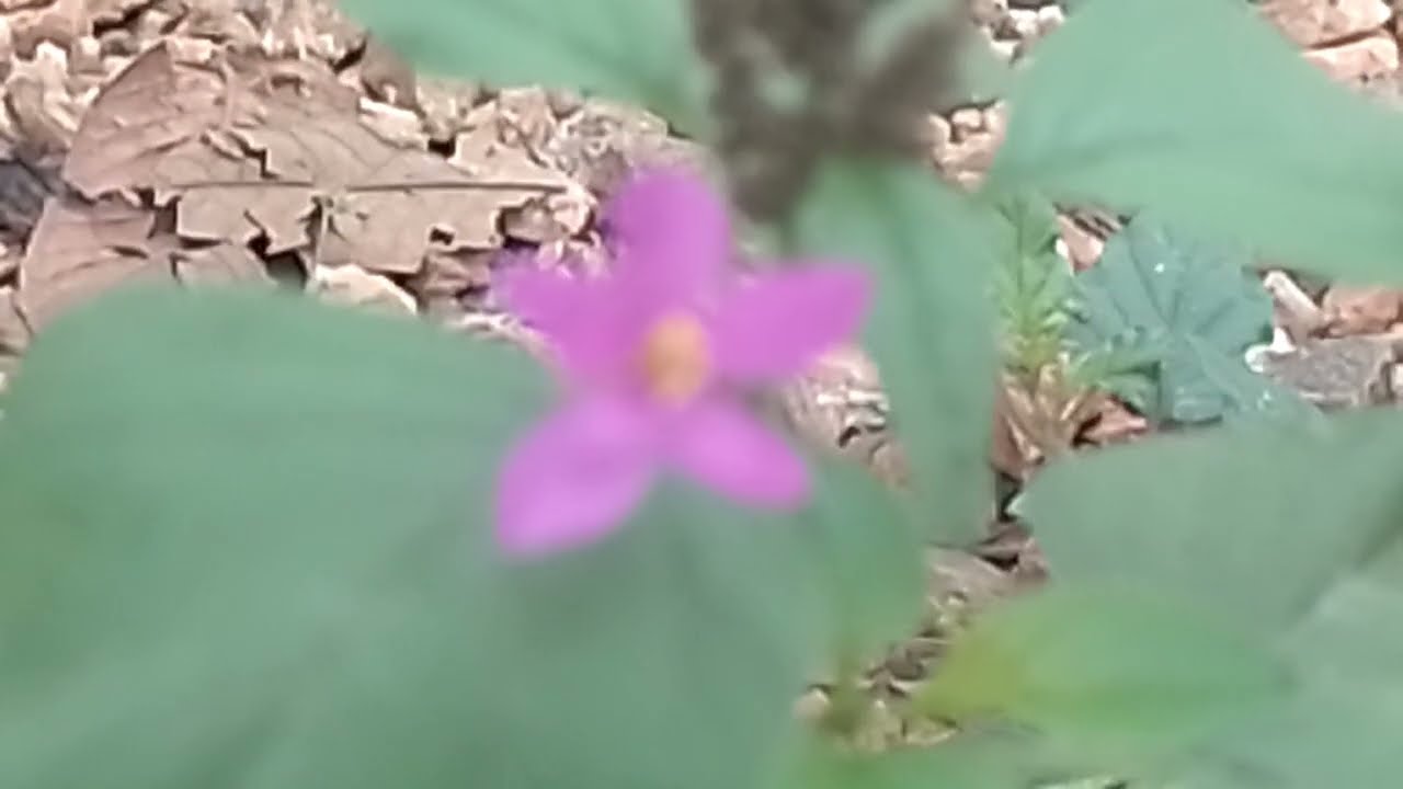 ஆதியின் கையொழுத்து வாங்க திட்டம் போட்ட மித்ரா  24பிப்