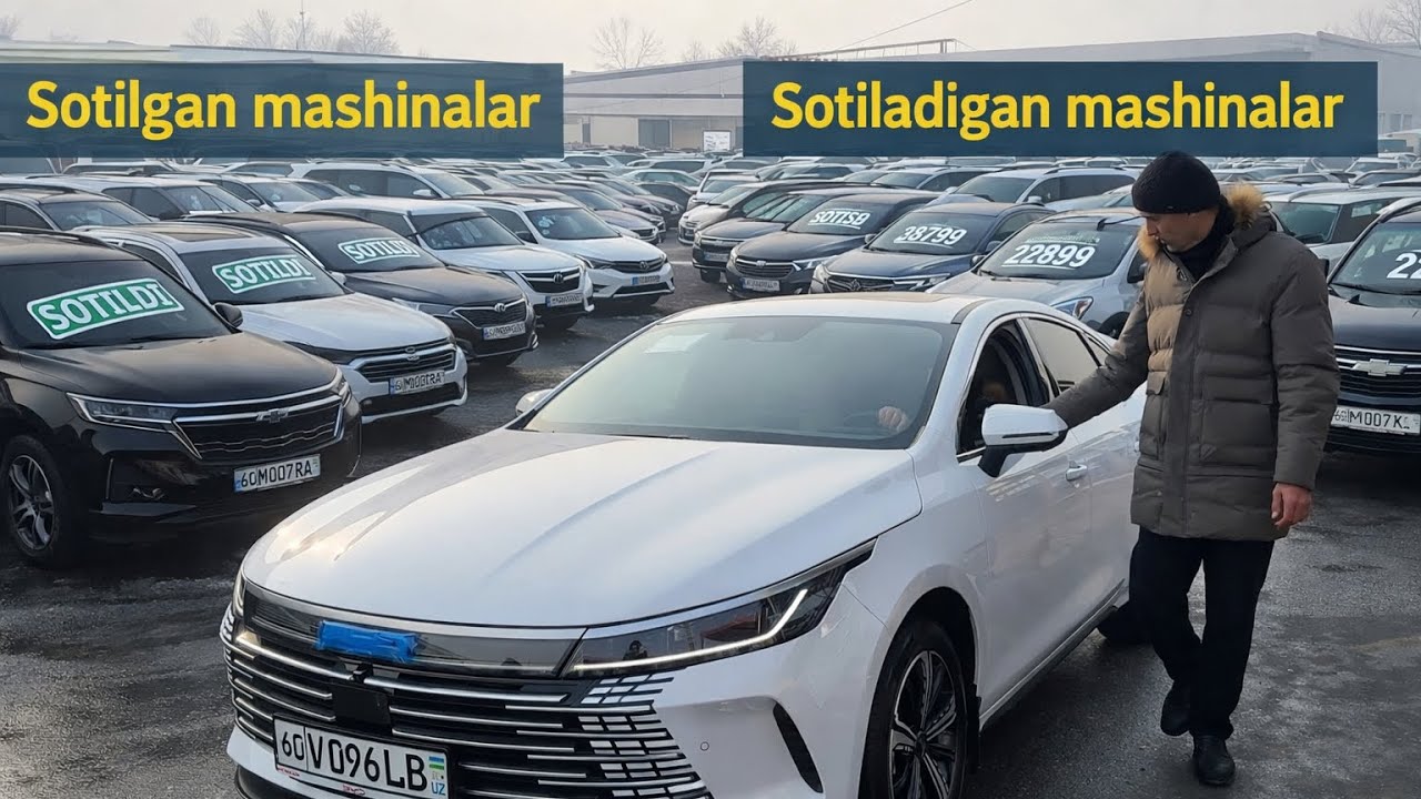 Sotiladigan va sotilgan mashinalar 