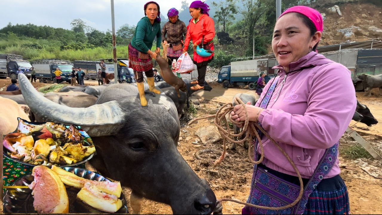 Chợ Phiên Cốc Ly#2 | Đặc Sản Nhiều Vô Kể - Một Con Trâu Ở Chợ Phiên Chỉ Có Giá 20 Triệu ?