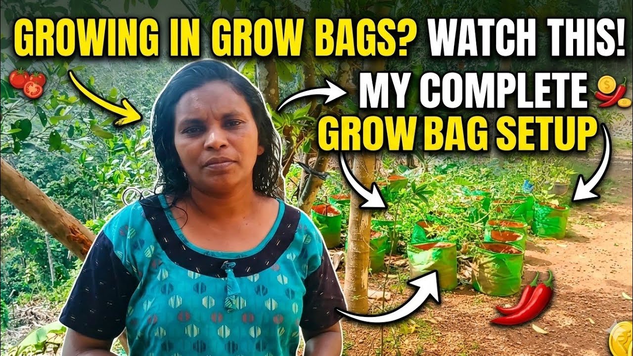My home tour and (Growing in Grow bags?) 😄