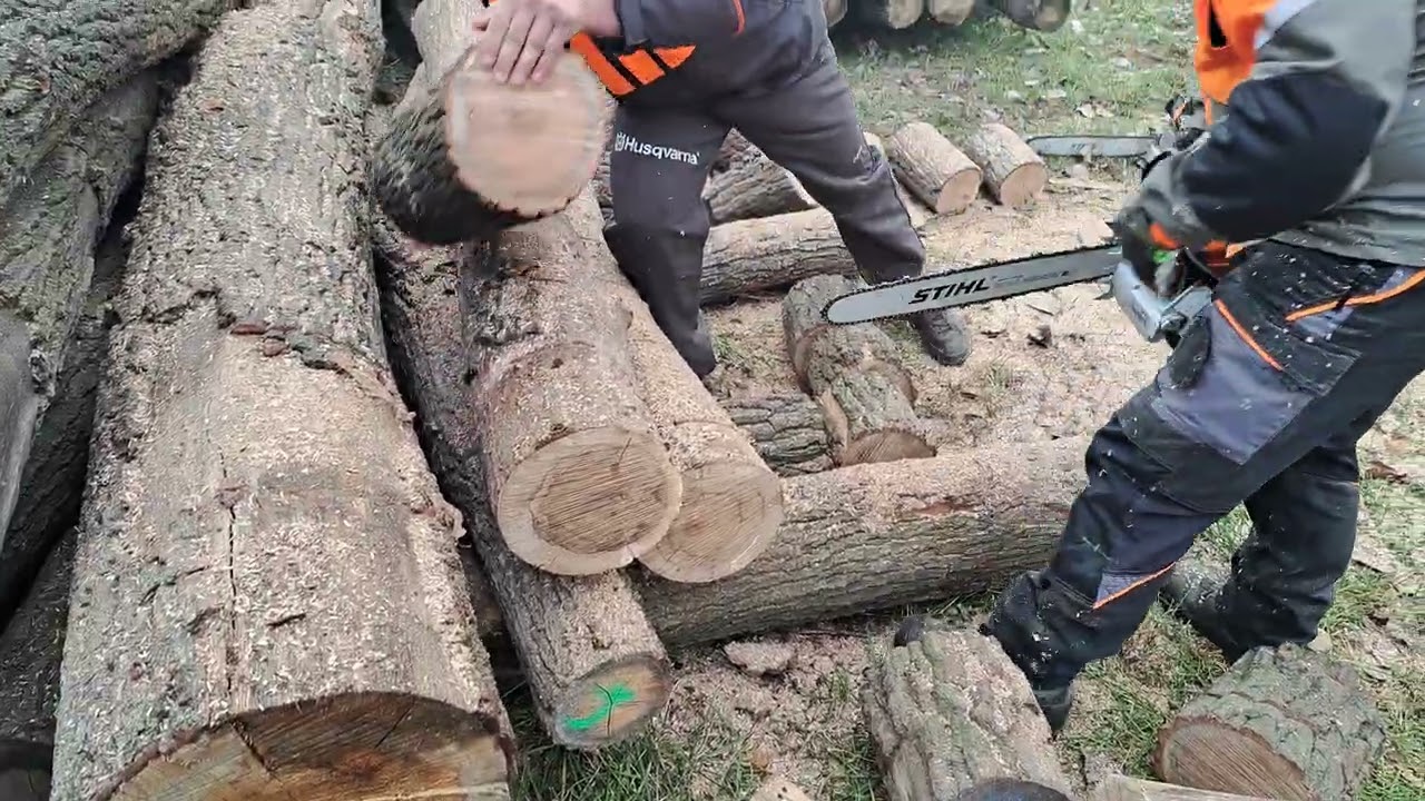 Stihl ms 500 i és Stihl ms 661 Biztos kezekben
