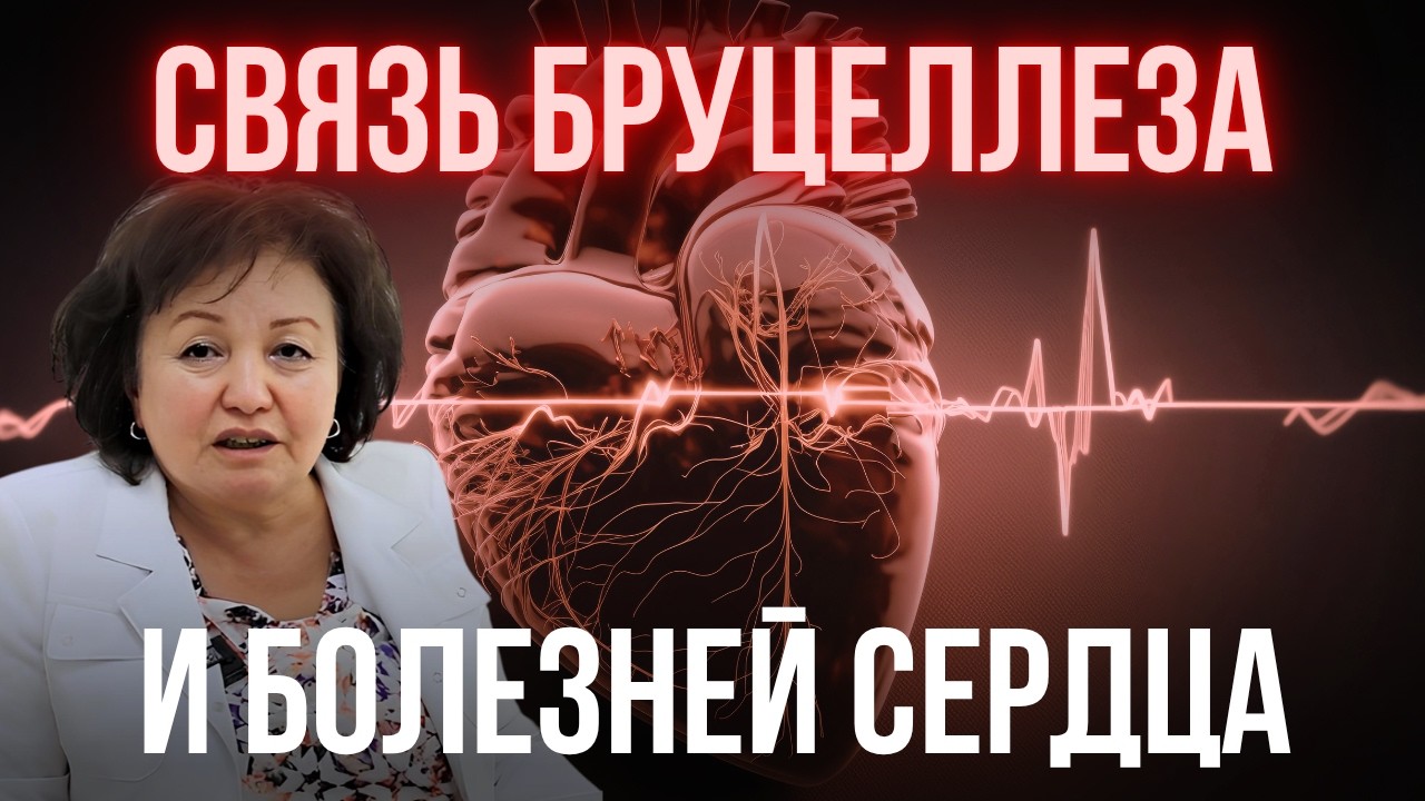 БРУЦЕЛЛЕЗ И СЕРДЦЕ