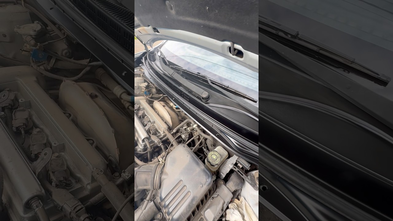 Обновил Жабо Хендай Элантра hd 