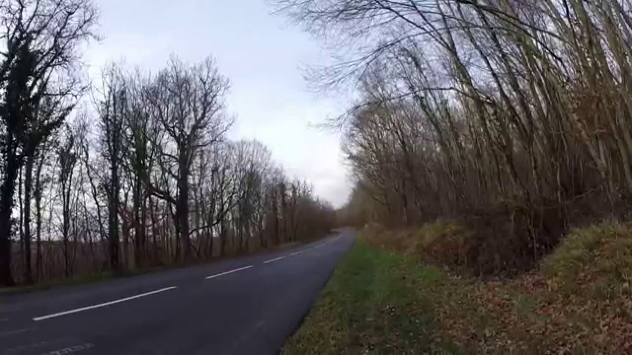 Yamaha Fz1 leovince gp style exhaust fly by