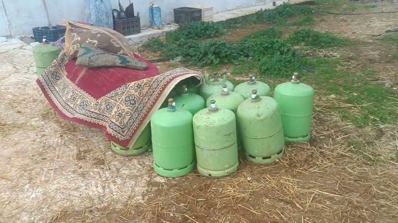 فيرما زينة للبيع بها كوري دجاج برخصة 600 شجرة برقوق طاجين سكنى 0679444657