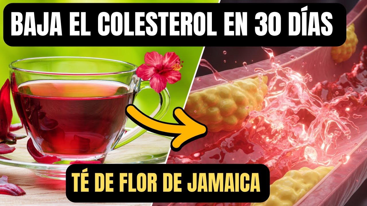 Esto es lo Que Hace la Flor de Jamaica en tu Cuerpo