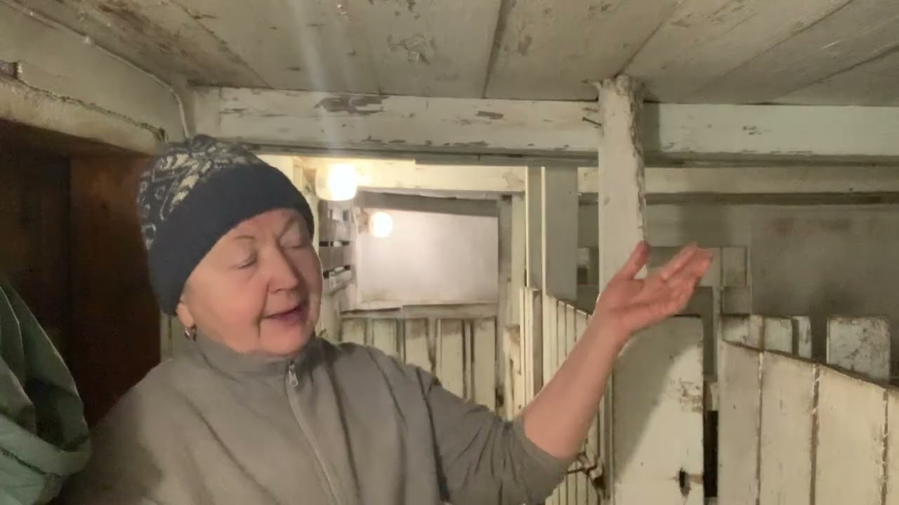 Давайте поговорим про запуск коз//