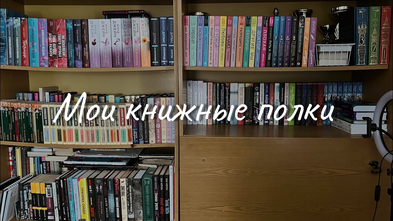 МОИ КНИЖНЫЕ ПОЛКИ📚