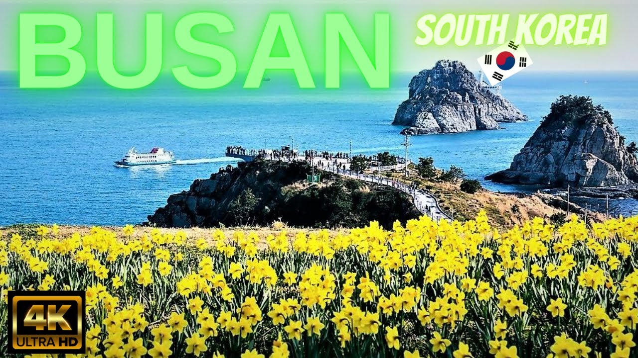 Busan South Korea Dynamic Busan 부산광역시