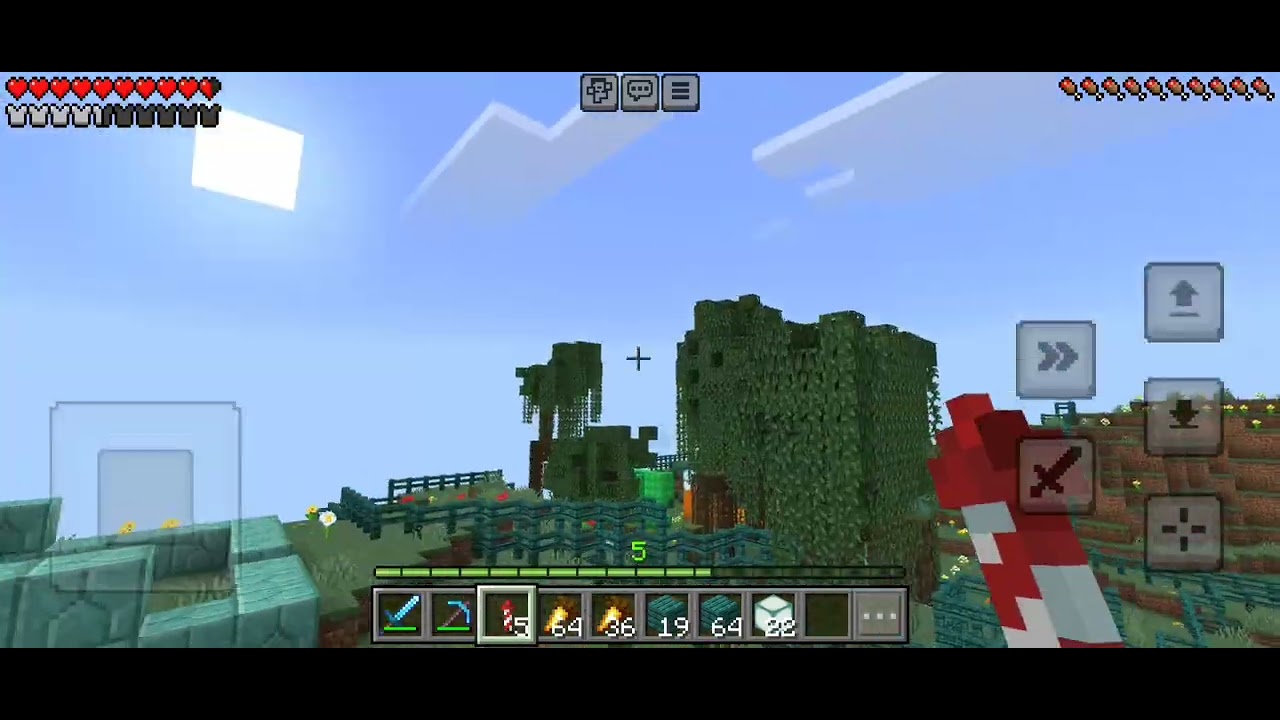 Eu ...