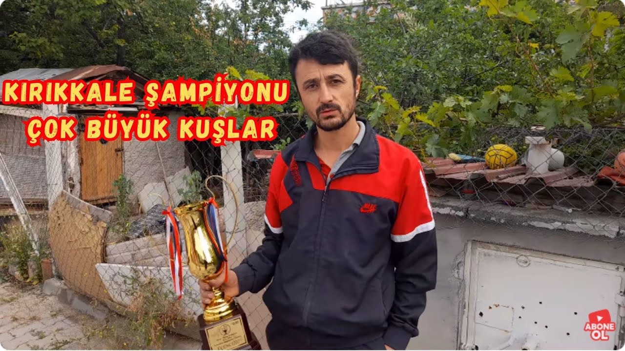 Kırıkkale Oyun Kuşu Şampiyonu Hakan Abiye Misafir Olduk Bomba Kuşlar