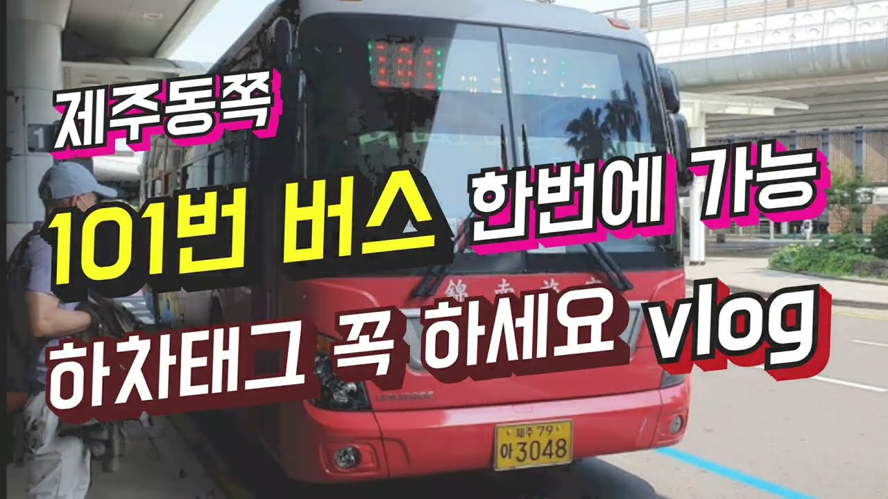 제주공항에서 101번 버스로 여행가기  ㅣ 제주 동쪽 여행자를 위한 버스투어 ㅣ 제주 급행버스 101번의 모든 것 ㅣ 전국 가장 긴 노선