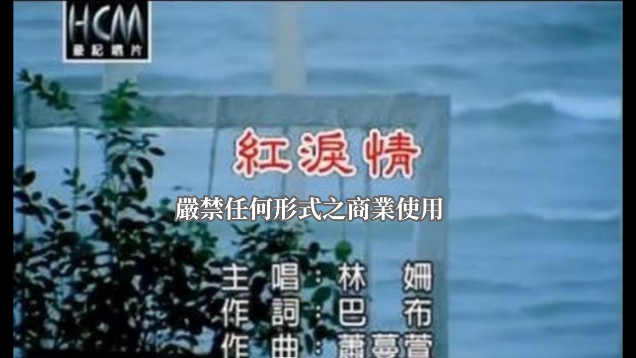 林姍-紅淚情【KTV導唱字幕】