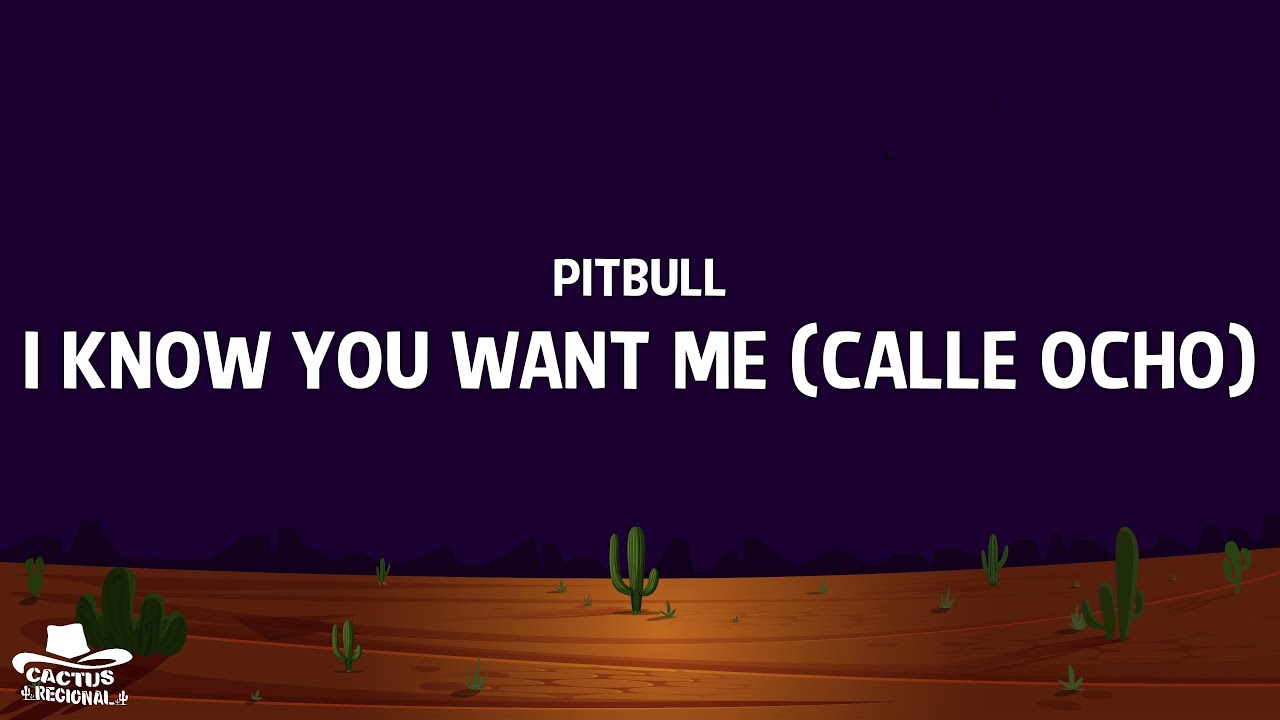 Pitbull - I Know You Want Me (Calle Ocho) (Lyrics)