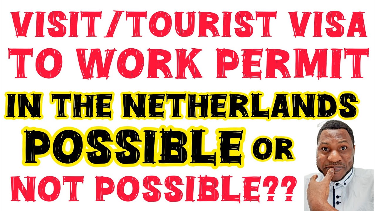 МОГУ ЛИ Я РАБОТАТЬ В НИДЕРЛАНДАХ🇳🇱 ПО ВИЗЕ?