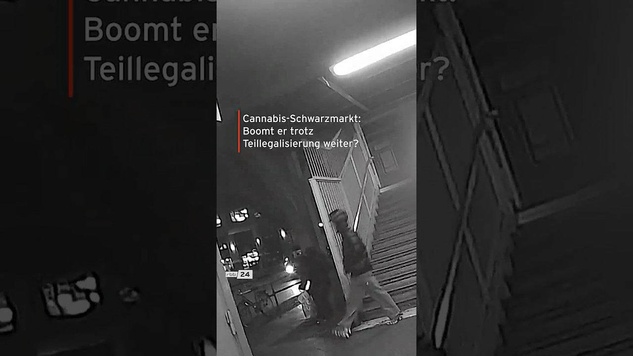 🥦 Teilllegalisierung vs. Schwarzmarkt? #berlin