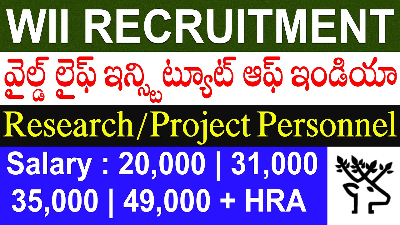 WII Recruitment 2023 Telugu | Wildlife Institute of India Dehradun Vacancy | WII Jobs 2023