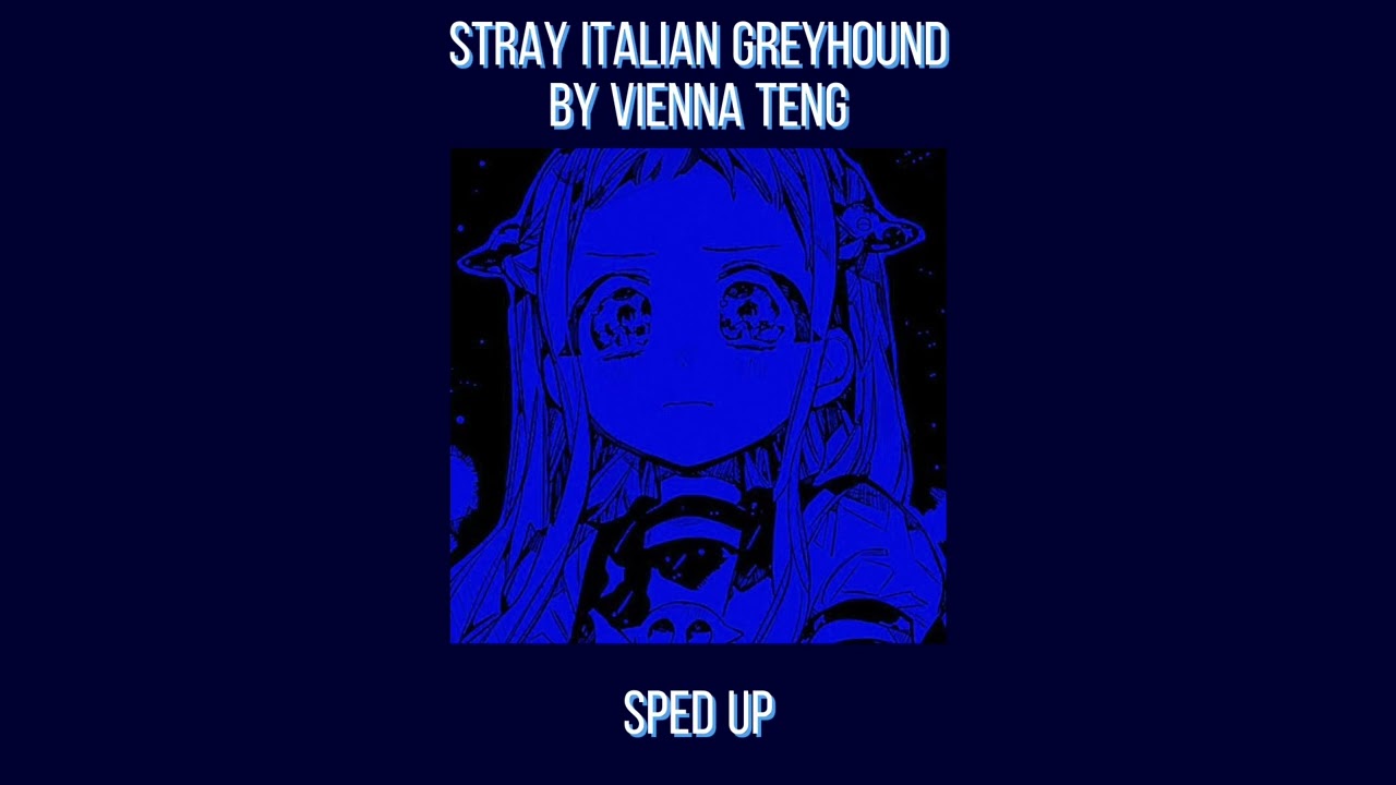 ~Stray Italian Greyhound Sped Up~ // Blue Themed // -K1CH1-