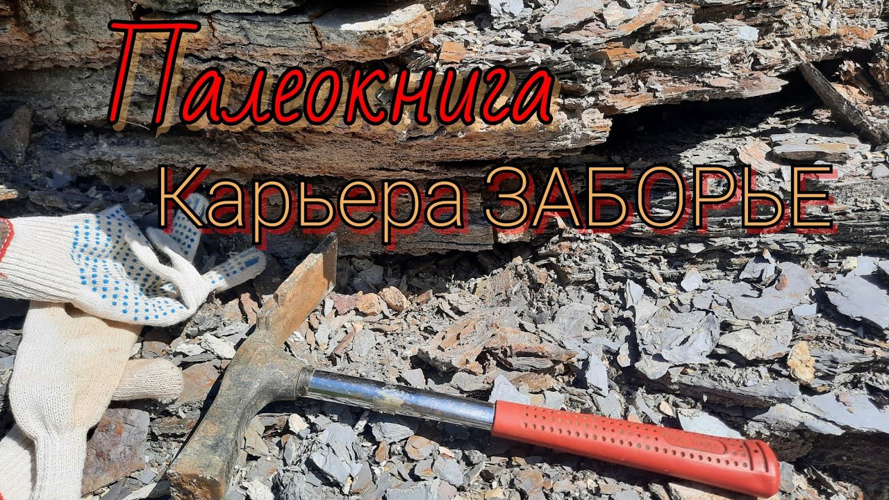 Карьер Заборье. Серпуховский ярус.