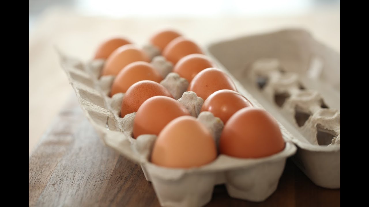 Sara Lynn's Awesome Egg Tips!