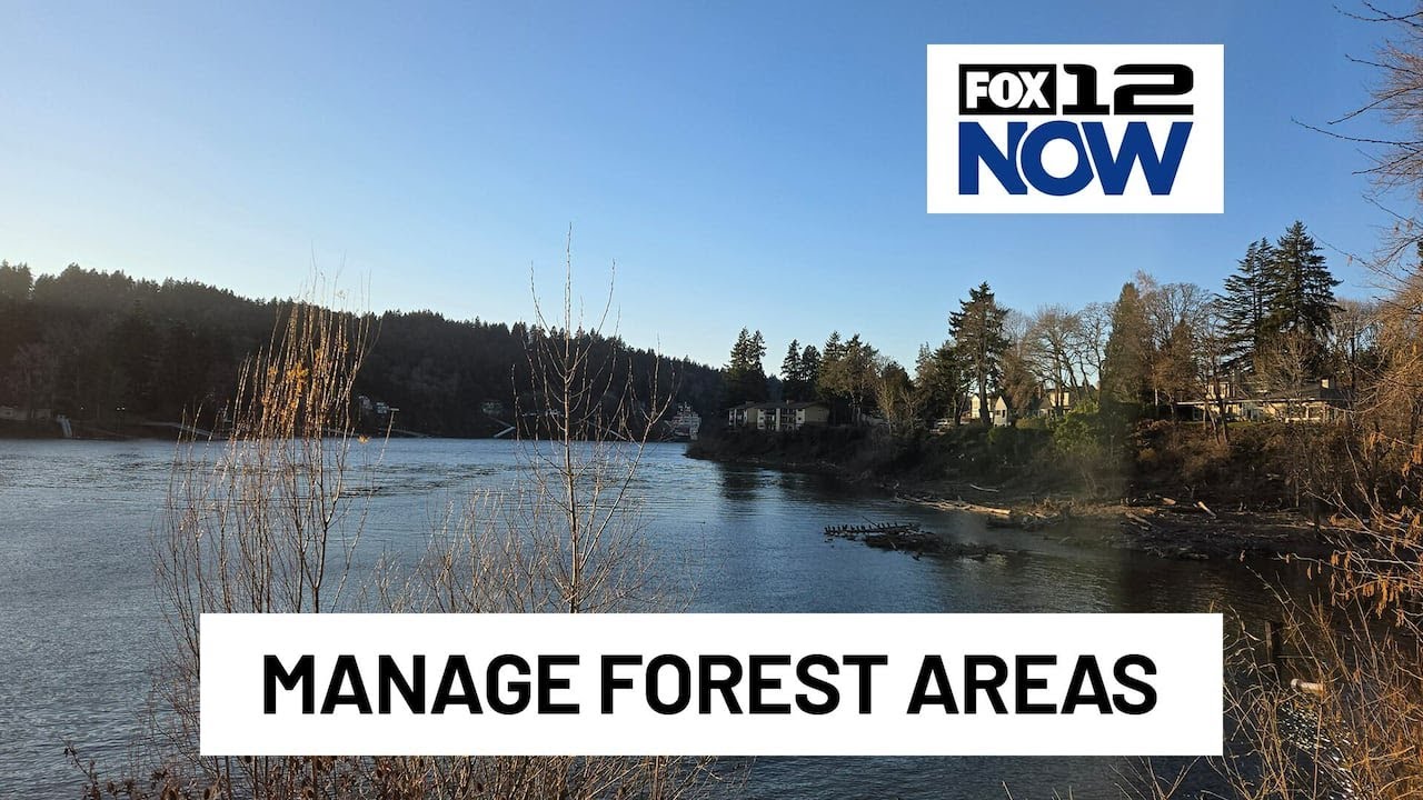 Teaching homeowners how to manage, protect forest areas on their property
