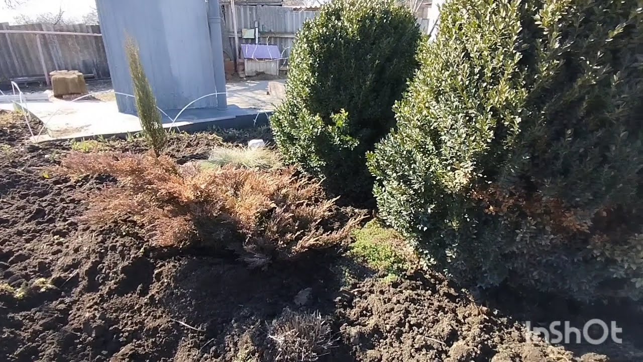 Пошла жара. Открыт бесплатный фитнес. 