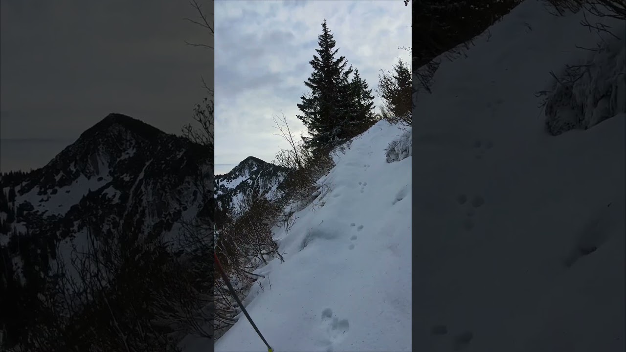 #alpen #apls #trailrun #mountainrunning #alpy #trailrunning #berge #g&oacute;ry #trail #mountains