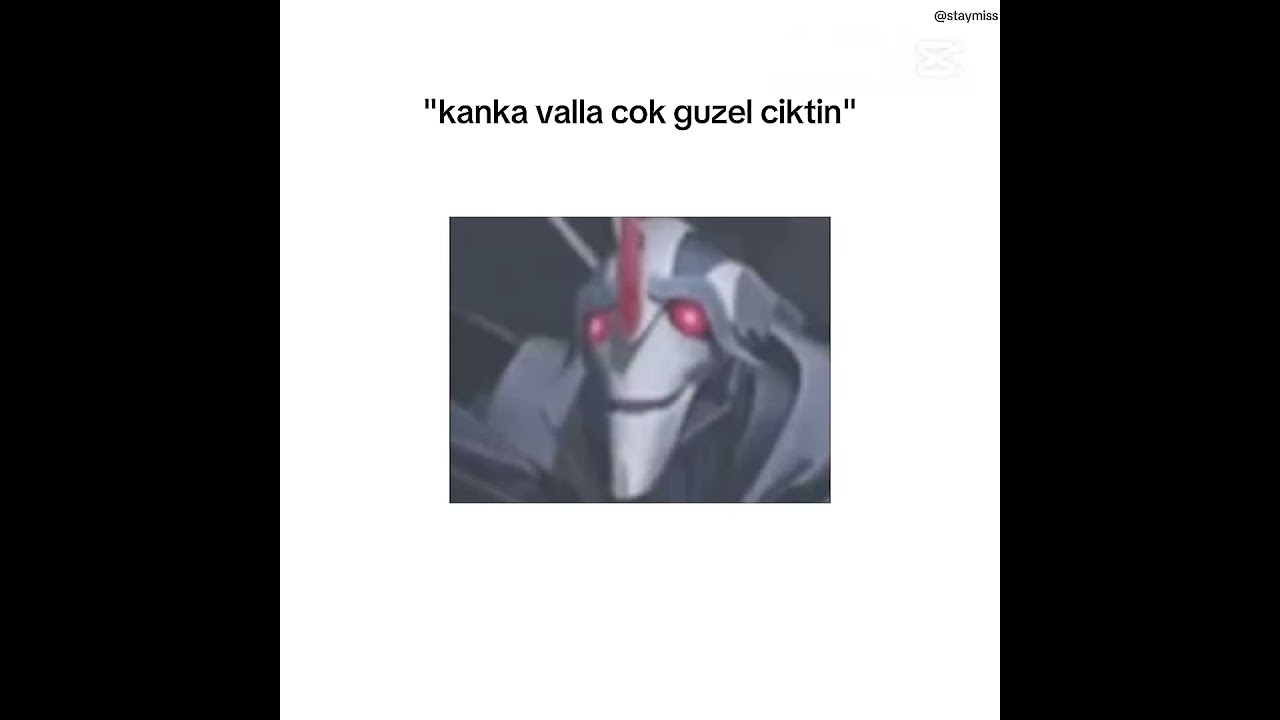 aynen kanka çok güzel çıkmışım