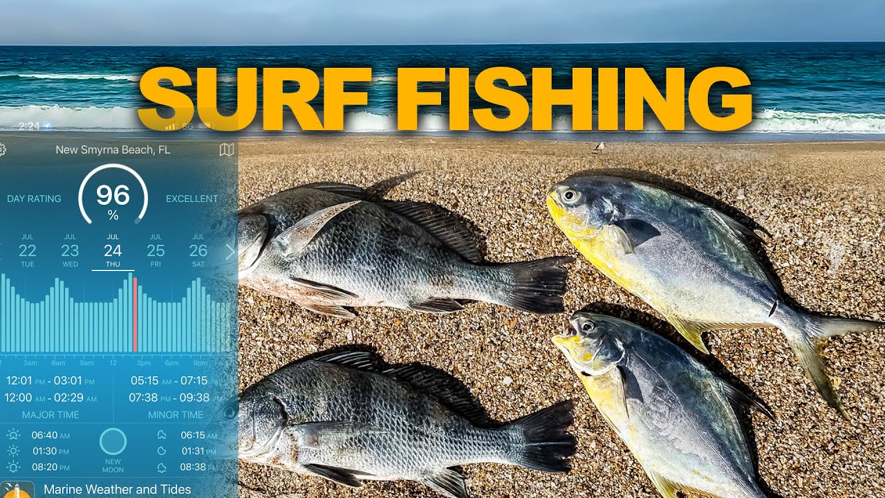 Two Days Surf Fishing Florida Beach Testing Out the Solunar Tables