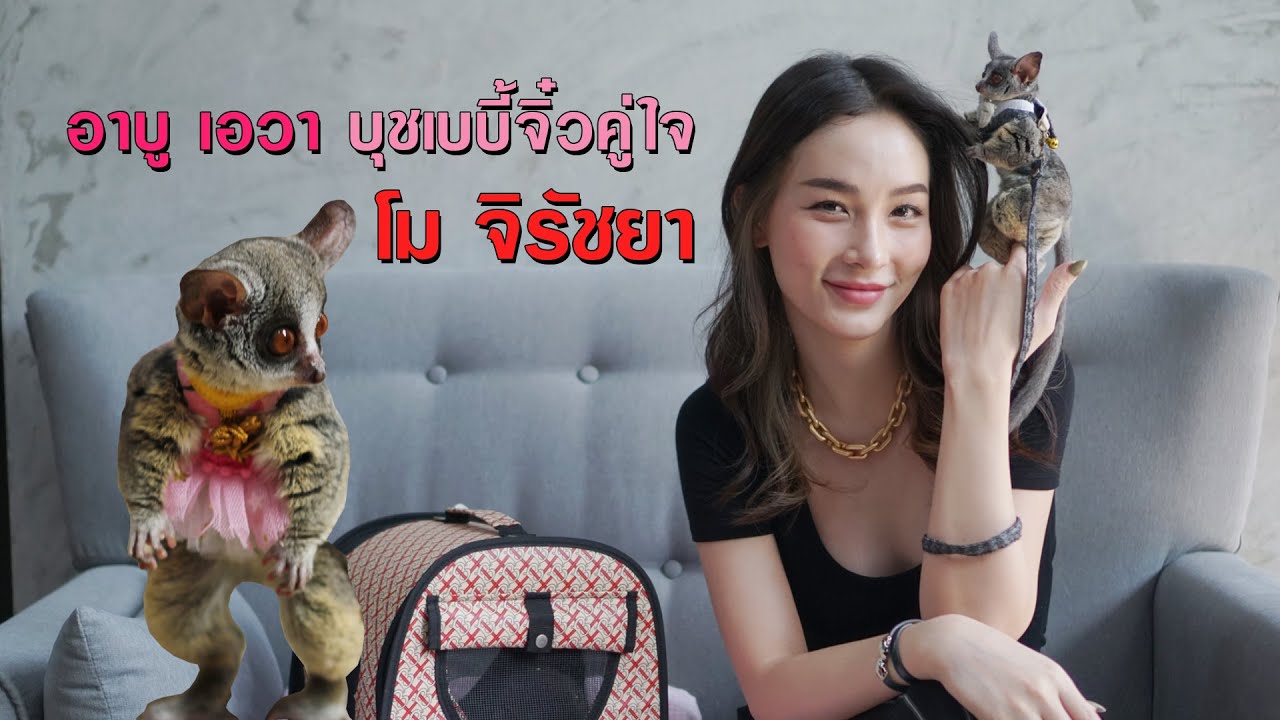คู่หูคนดัง | โม จิรัชยา - บุชเบบี้จิ๋ว อาบู และ เอวา