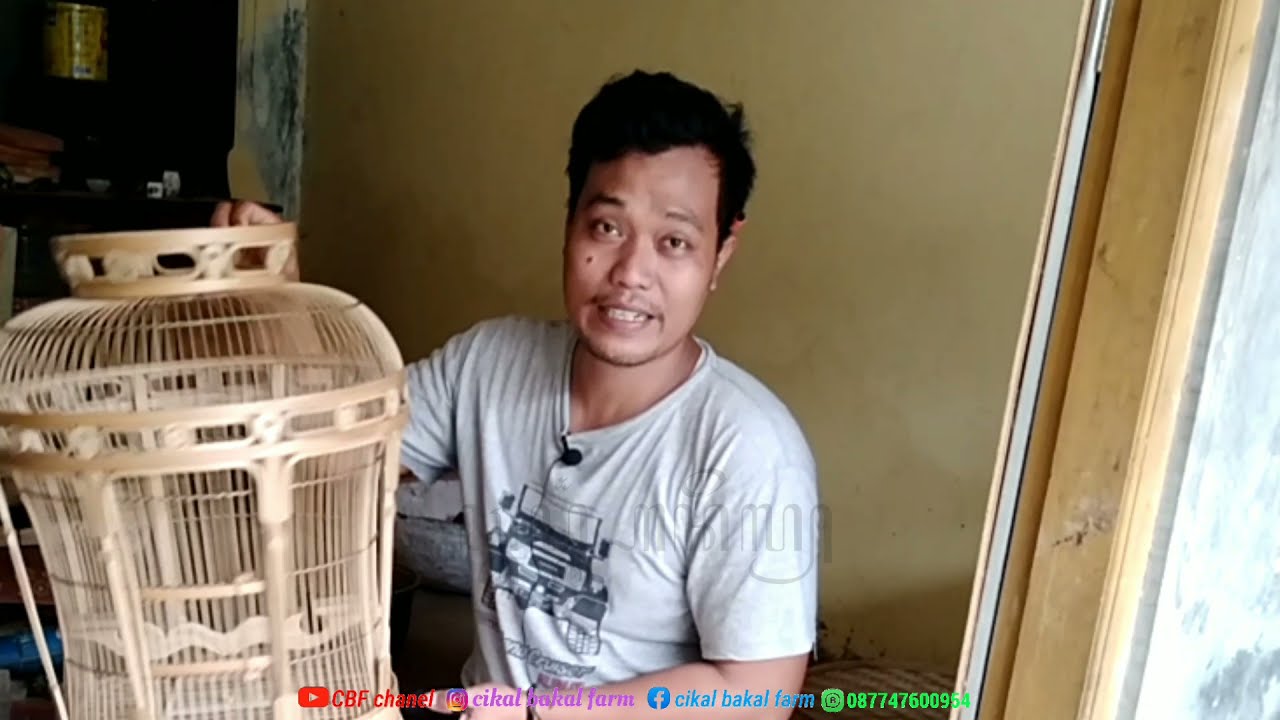 review sangkar perkutut mataram soko dobel full bambu