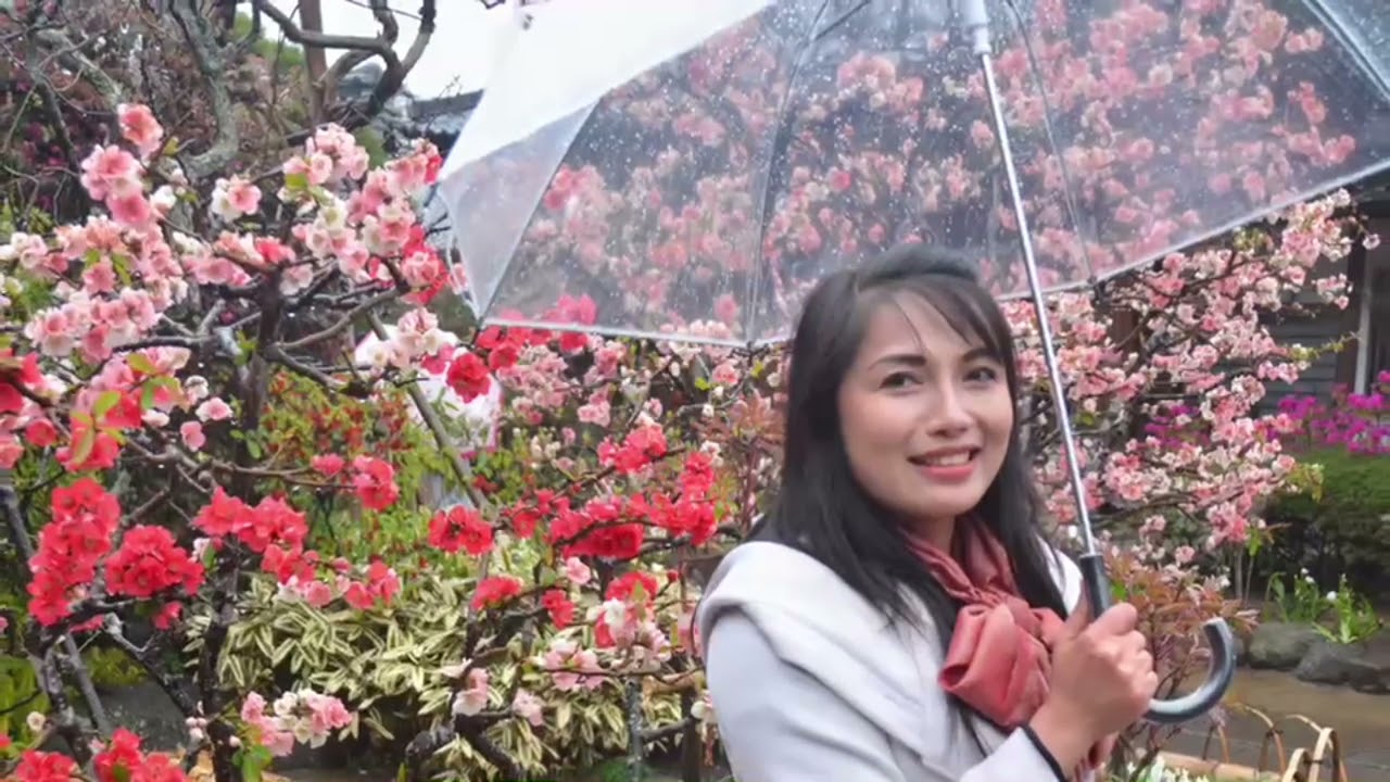 Memories bring back / Kamakura