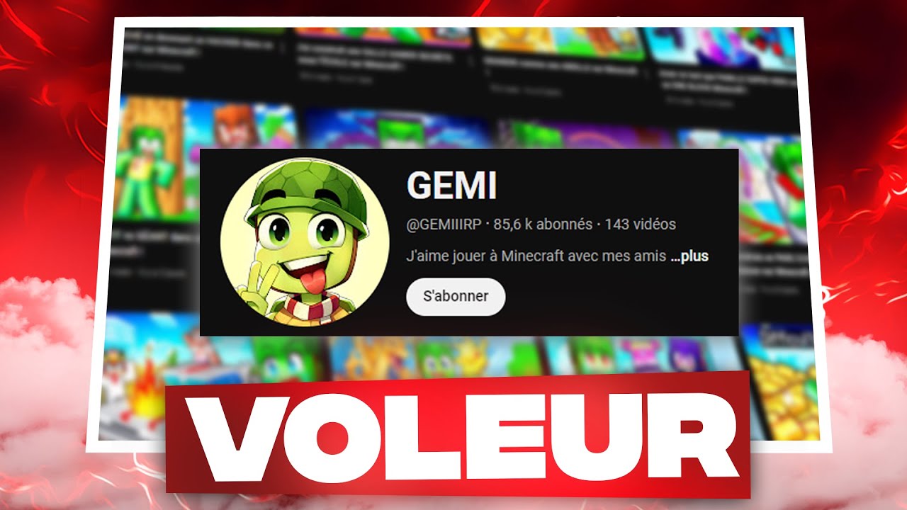 CE YOUTUBER MA DEÇU... (GEMI)