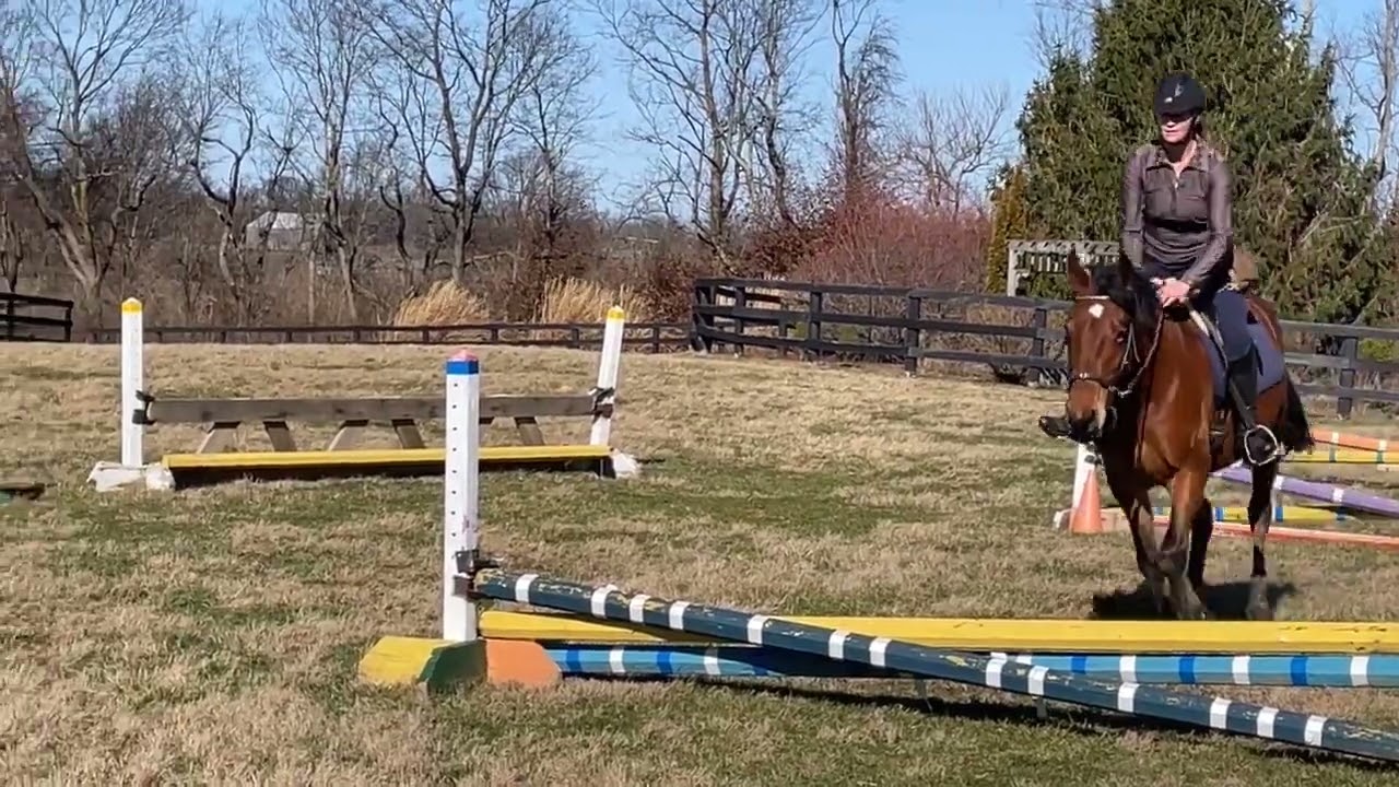 Jumping and riding with positive reinforcement