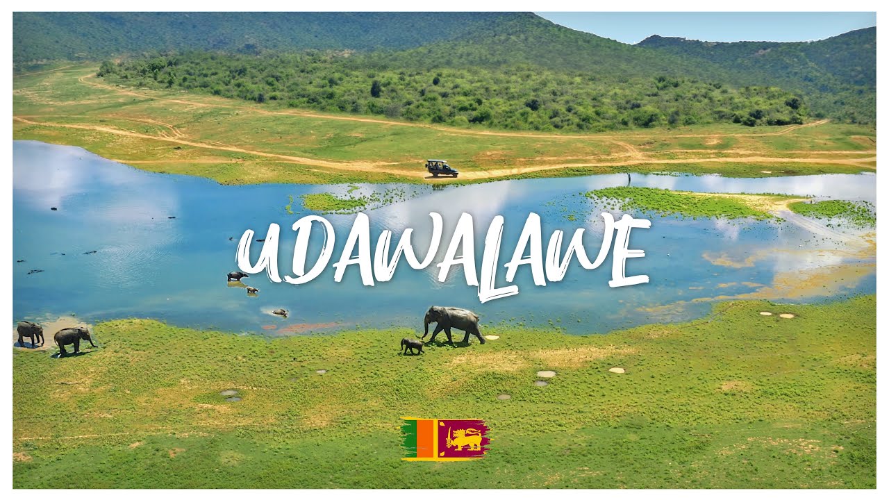 SAFARI-TOUR im UDAWALAWE Nationalpark SRI LANKA!